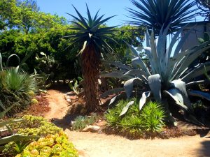 Rancho Los Alamitos