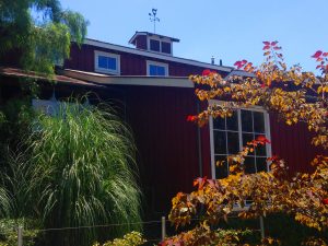 Rancho Los Alamitos