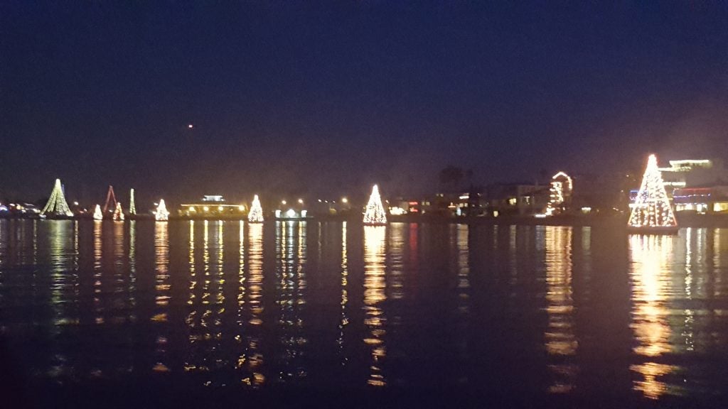 Lights strung together to look like Christmas trees float on Alamitos Bay.