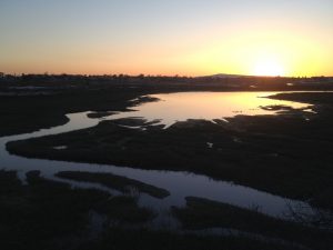 los-cerritos-wetlands