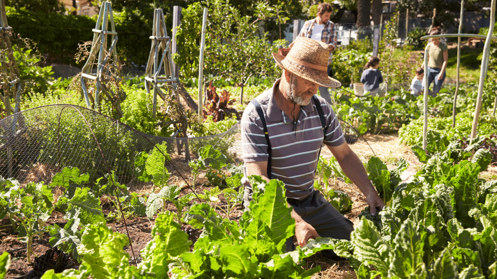 Community Gardens