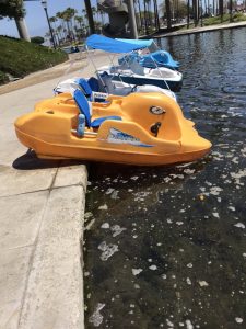 Pedalboats_yelp.com