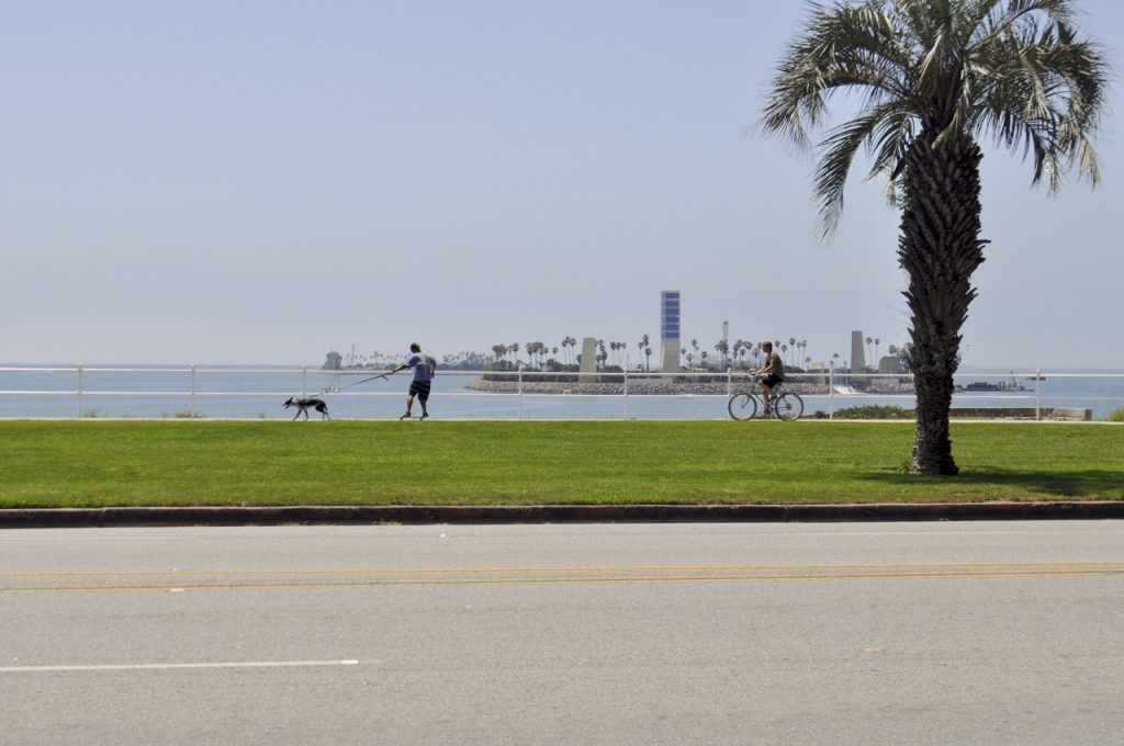 Long Beach Dog Parks