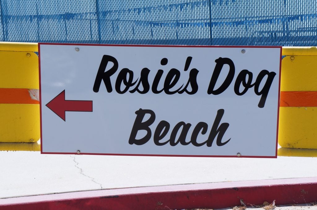 Long Beach Dog Parks