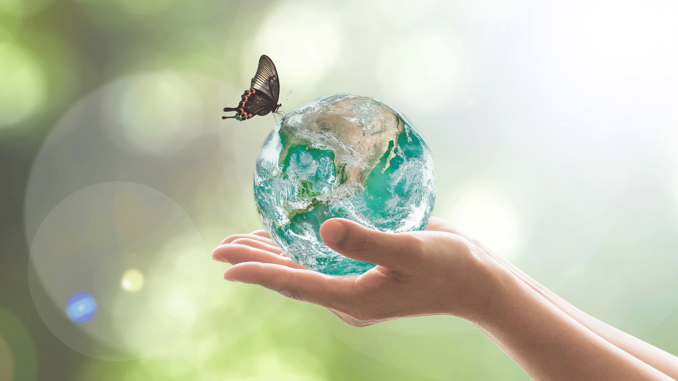 Eco-Friendly Blog