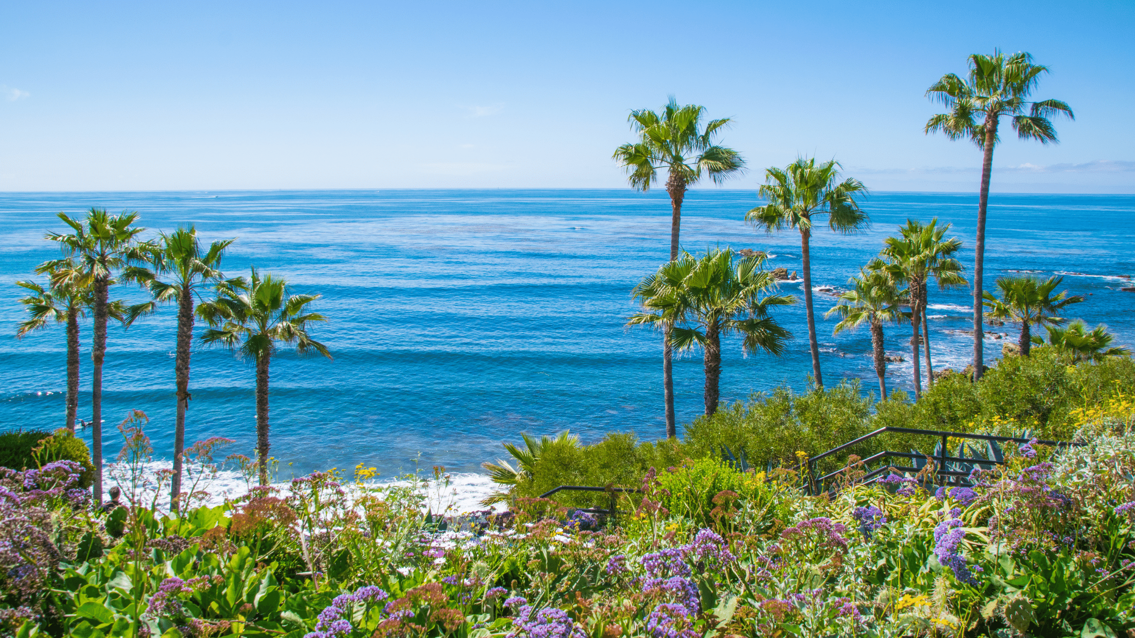 California Exodus Blog - California ocean with flowers and palm trees