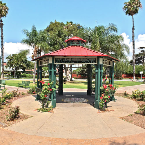 Discovering the Charm of Rose Park: A Historic Long Beach Gem