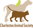 Charleston_20Animal_20Society