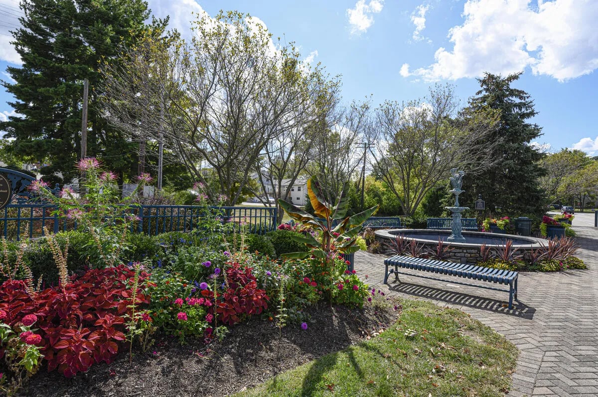 Madeira-New-Homes-Development