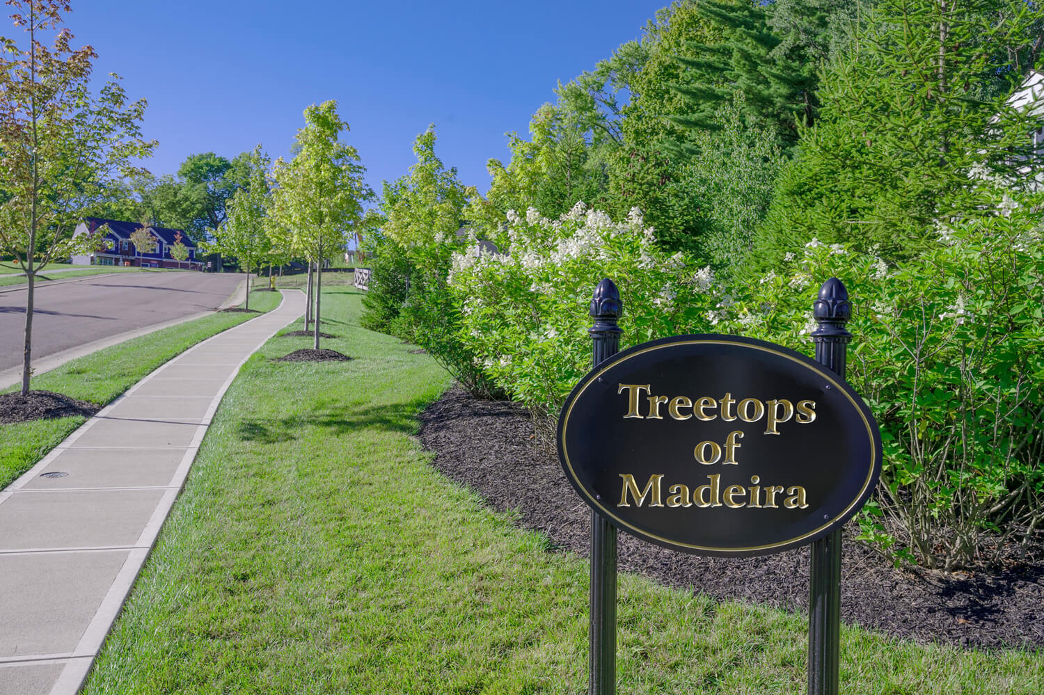 Community – Treetops of Madeira