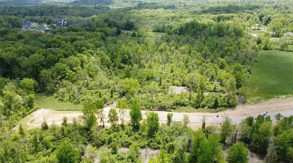 The-Meadows-of-Peterloon