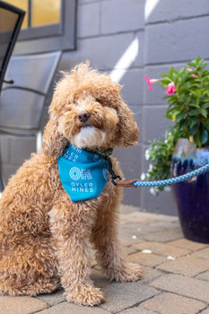 20221009_Pumpkin Event_Web_057