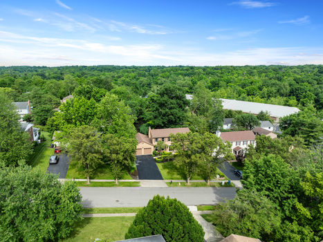 7232 Camargo Woods -2