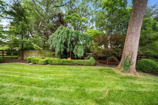 7232 Camargo Woods -21