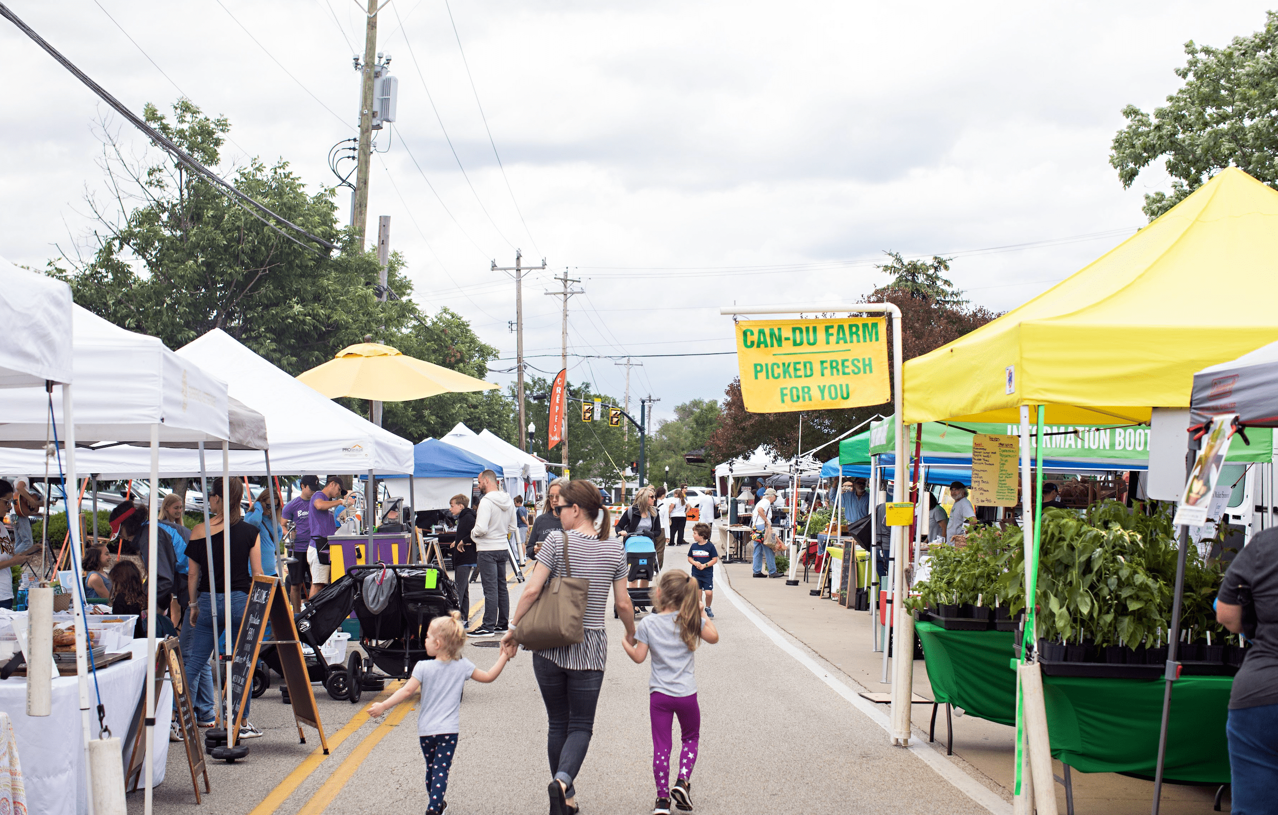 madeira famers market