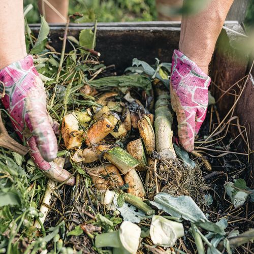 How to Compost in Your Backyard?