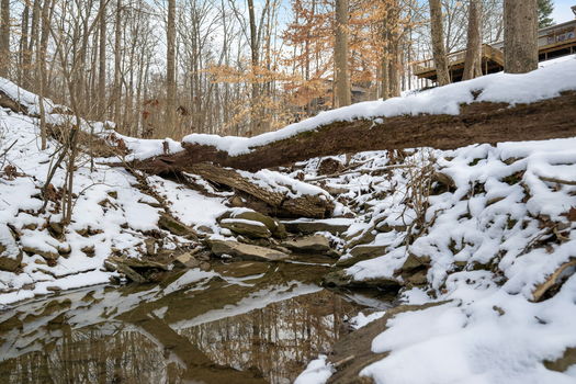 72-web-or-mls-7416 Ayers-73