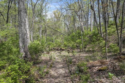 67-web-or-mls-DSC_5786