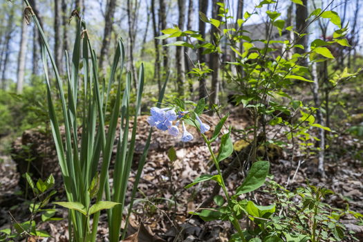 69-web-or-mls-DSC_5788