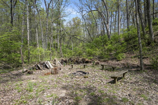 70-web-or-mls-DSC_5789