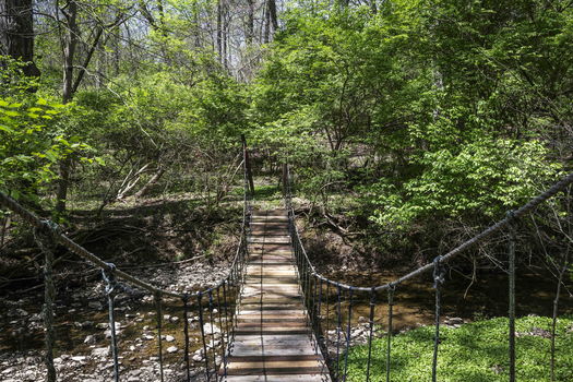 71-web-or-mls-DSC_5790