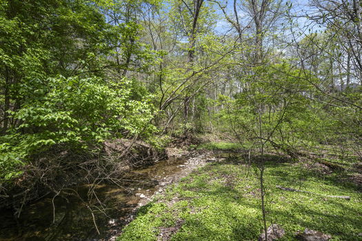 73-web-or-mls-DSC_5792