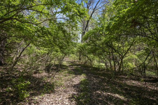 76-web-or-mls-DSC_5795