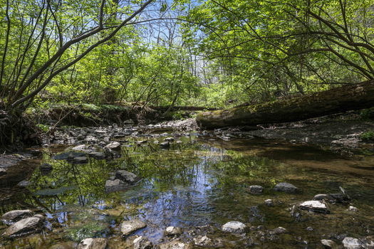 78-web-or-mls-DSC_5797