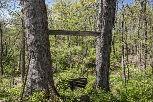 85-web-or-mls-DSC_5804