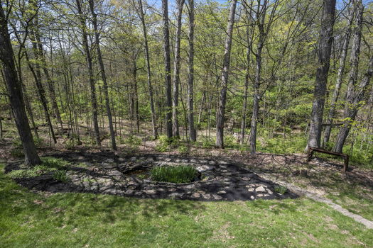 86-web-or-mls-DSC_5815