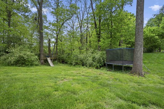 11-web-or-mls-DSC_1184