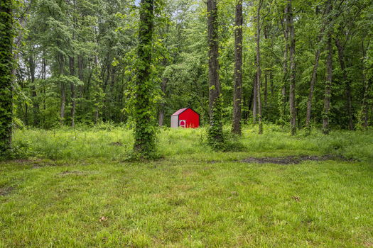 45-web-or-mls-DSC_4017
