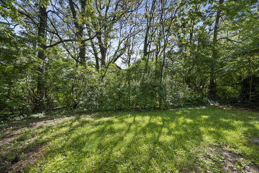 47-web-or-mls-DSC_2035