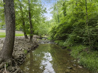 8-web-or-mls-DJI_0202