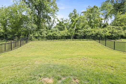 42-web-or-mls-DSC_9715