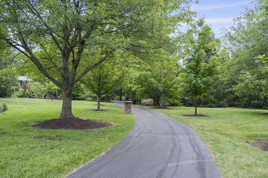 108-web-or-mls-DSC_2943