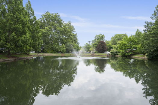 109-web-or-mls-DSC_2944