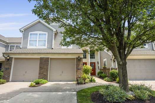 11-web-or-mls-DSC_8229