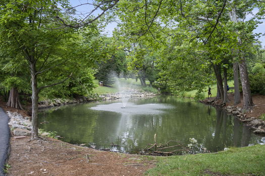 110-web-or-mls-DSC_2945