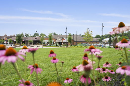 122-web-or-mls-DSC_2957