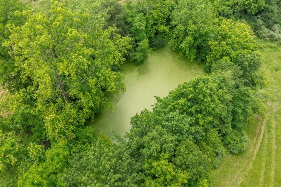 30-web-or-mls-407 Wards Corner Rd (36 of 40)