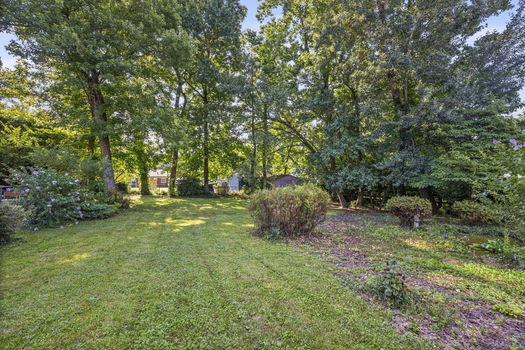 49-web-or-mls-DSC_2860