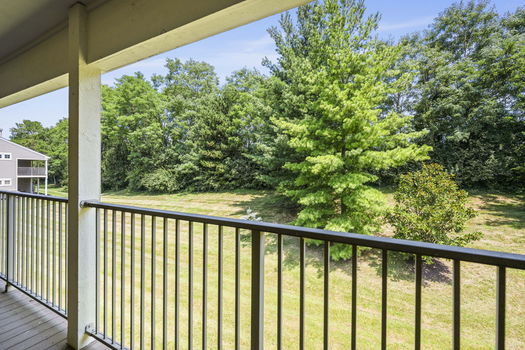 52-web-or-mls-DSC_8354