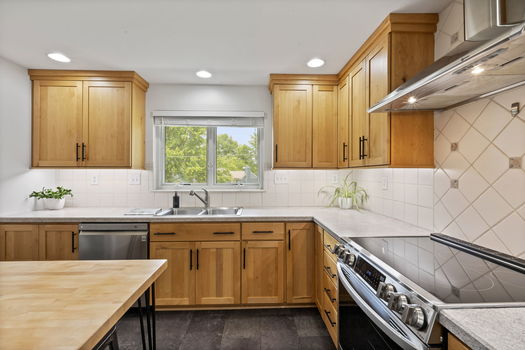 20-web-or-mls-DSC_0570