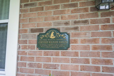 49-web-or-mls-DSC_2071