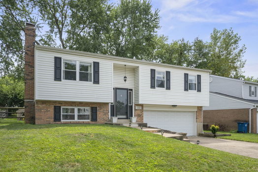 5-web-or-mls-DSC_0366