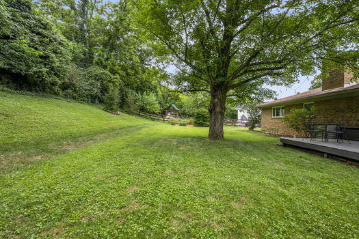 50-web-or-mls-DSC_0655