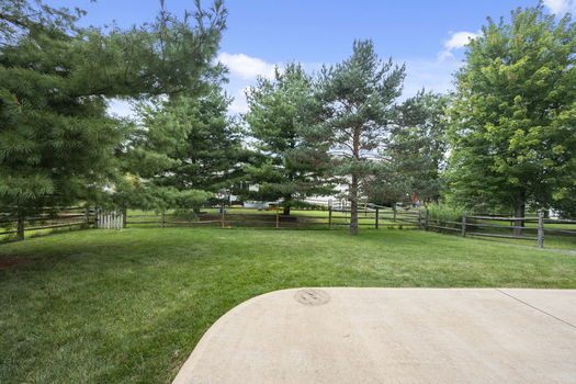 9-web-or-mls-DSC_1310