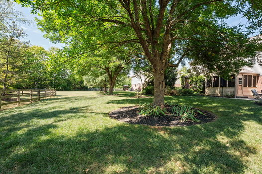 10-web-or-mls-4319 Serpentine Way (10 of 87)