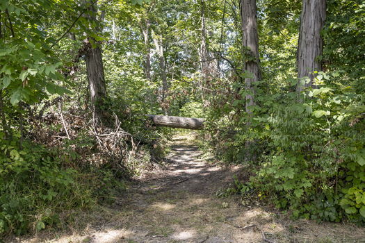 18-web-or-mls-DSC_5597